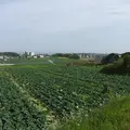 地球の丸く見える丘展望館の写真_3413