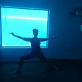 The Mirage（ミラージュ）の写真_341764