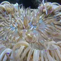 淡島マリンパークの写真_3440