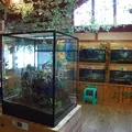 淡島マリンパークの写真_3450