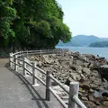 淡島マリンパークの写真_3457