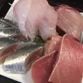 あげはの写真_34665
