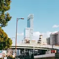 あべのハルカスの写真_347459