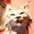 ベンの家の写真_351488