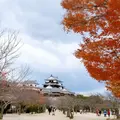 松山城の写真_353390