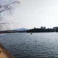 大濠公園の写真_353598