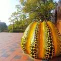 福岡市美術館の写真_353608