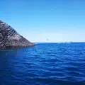 七ツ釜遊覧船イカ丸の写真_353614