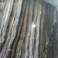 七ツ釜遊覧船イカ丸の写真_353617