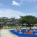 真教寺公園の写真_35655