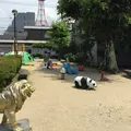 真教寺公園の写真_35662
