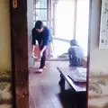 正覚寺の写真_35710
