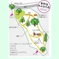 生駒台みんなの森の写真_36274