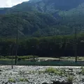 大正池の写真_36497