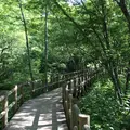 田代池の写真_36531