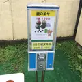 鹿苑の写真_36574