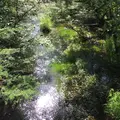 穂高橋・田代橋の写真_36603