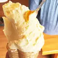 橋本牧場イタリアンジェラートアイス工房の写真_36685