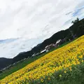 橋本牧場イタリアンジェラートアイス工房の写真_36687