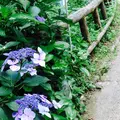 雨滝の写真_36926