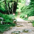 雨滝の写真_36927