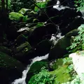 雨滝の写真_36929