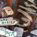 雨滝の写真_36931