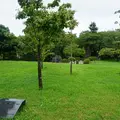 駿府公園の写真_36952