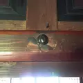 上豊岡の茶屋本陣の写真_37186