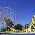 国営ひたち海浜公園の写真_37417
