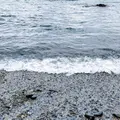 立石公園の写真_378674