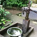 浄智寺の写真_37908