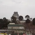 唐津城の写真_3795