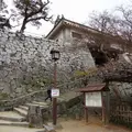 唐津城の写真_3797