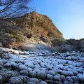 御船山楽園の写真_38054