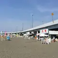 大磯海水浴場の写真_38055