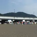 大磯海水浴場の写真_38061