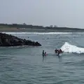 大磯海水浴場の写真_38063