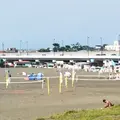 大磯海水浴場の写真_38064