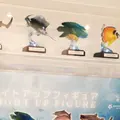 夢みなとタワーの写真_38370