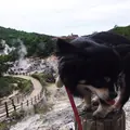 小浜温泉の写真_38656