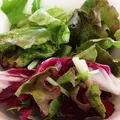 はいさいキッチンの写真_38750