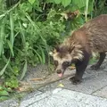 樫野崎の写真_38876
