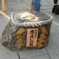 清水寺の写真_3915