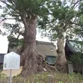太宰府天満宮の写真_39213