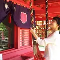水田天満宮（恋木神社）の写真_39463