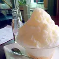 江津１丁目１−１２の写真_39493