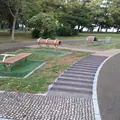 上人ヶ浜公園の写真_39811