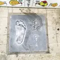四ツ木駅の写真_39846