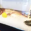 やまと木更津店の写真_40103